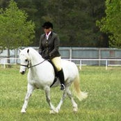 Tamara Fox's photo