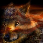Jason Winkler's photo