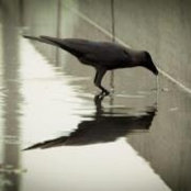 Foto von Cindy Hauer