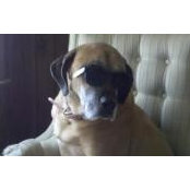 Kristin Fox's photo