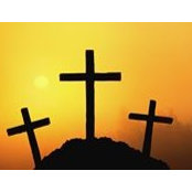 Audrey Mcvicker's photo
