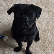 Anita McGlothlin's photo