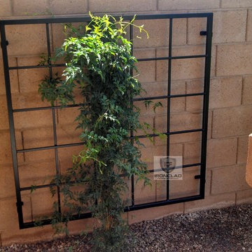 Garden Trellis