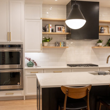 Andersonville Full Home Renovation