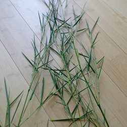 teragreen bamboo flooring - Flooring