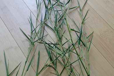 teragreen bamboo flooring