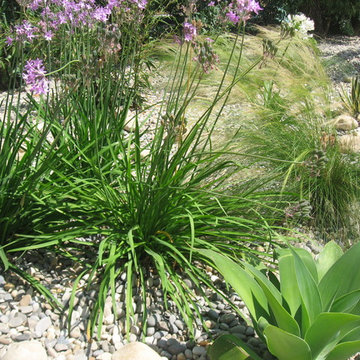 Un jardin original à Toulon