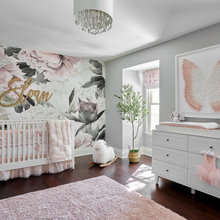 Baby Girl Nursery