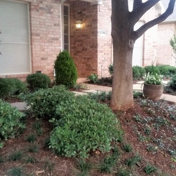 Removing lawns and planting for hummingbirds