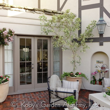 CONATAINER GARDENS BRING LIFE TO PLAIN PAITO, La Jolla, California