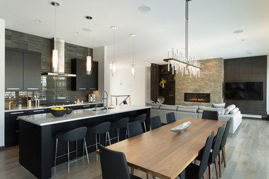 Example of a mid-sized trendy light wood floor and gray floor great room design in Other with white walls, a ribbon fireplace and a stone fireplace