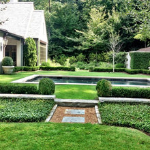 the yard