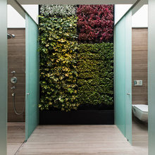 Living wall