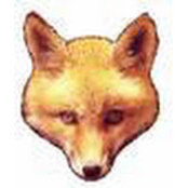 Marni Fox's photo