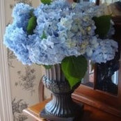 Peggy Bryant's photo