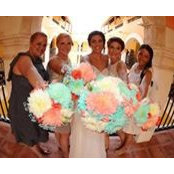 Chani Grandmaison Violette's photo