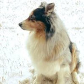 Stella Gates-Speelman's photo