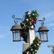 Susan Gookin's photo