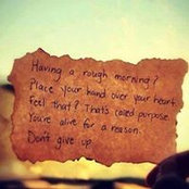Rachel Dickison's photo