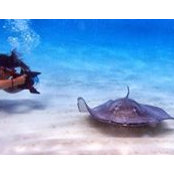 Stacy Kerkela's photo