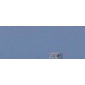 Ayelet Levy's photo