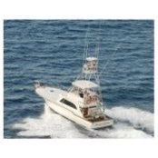Sailfish Sarl's photo