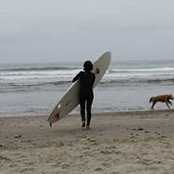 Stephanie Guerra's photo