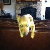 Mike Keegan's photo