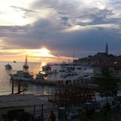 Sylvia Müller's photo