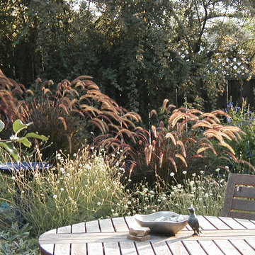 Edible and Natives in Oakland