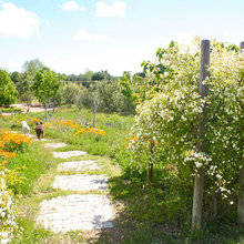 Naturgarten