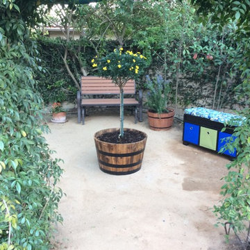 Drought Tolerant