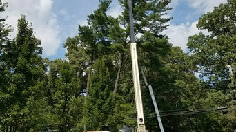 Crane Service / Tree removal