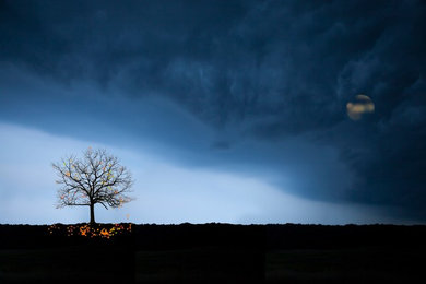 Featured Photos