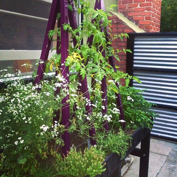 Modern raised edible bed with Akoris Garden Tuteur