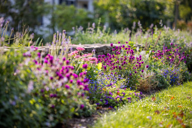 This is an example of a transitional landscaping in Boston.