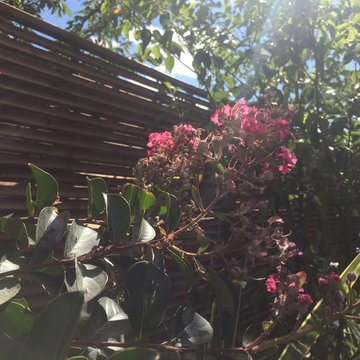 Aménagement paysager d'un jardin à Suresnes...