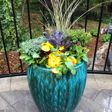 Annual Flower Pots for ALL seasons