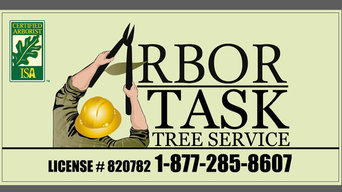 Arbor Task Tree Service