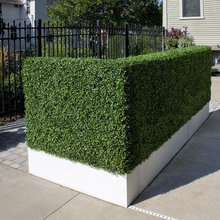 ARTIFICIAL Foliage