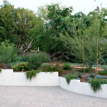 Sherman Oaks California Native and Australian Garden
