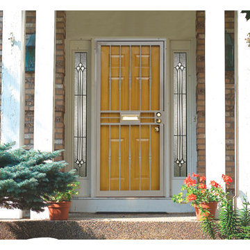 Security Storm Door
