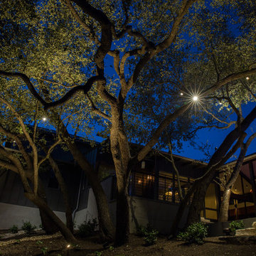 Captive Lighting