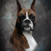 Photo de Robert Hallock
