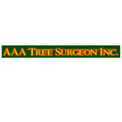 AAA Tree Surgeon