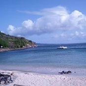 Sharon Brookes's photo