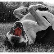 James Halloway's photo