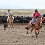 Kadee Buckmaster's photo