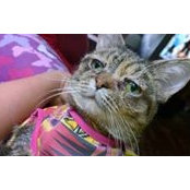 Tucker Fox's photo