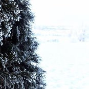 Brittany Saunders's photo